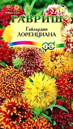 Семена Гайлардия Лоренциана.
Растение раскидистое, высотой 50-60 см, опушенное мягкими волосками. Соцветия одиночные, на длинных тонких цветоносах, махровые, шаровидные, диаметром 6-7 см. Язычковые цветки ланцетовидные, зубчатые, желтые, переходящие в основании в розово - или красно-пурпуровый цвет. Трубчатые цветки красно-коричневые. Цветет обильно с конца июня по октябрь. Дает самосев. Светолюбива, предпочитает легкие, сухие почвы. Растения хорошо отзываются на умеренный полив. Для продления цветения рекомендуется провести за сезон три подкормки. Великолепно подходит для клумб, бордюров и на срезку. 