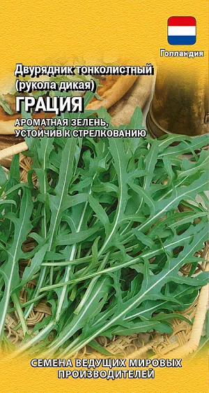 Семена Рукола Двурядник Грация