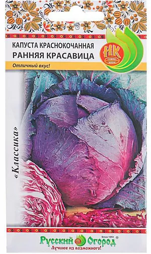 Семена Капуста краснокочанная Ранняя красавица Семена Капуста краснокочанная Ранняя красавица