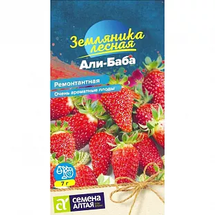 Семена Земляника (клубника) Али-баба ремонтантная
