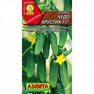 Семена Огурец Чудо хрустик F1