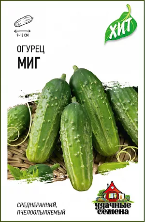 Семена Огурец Миг
