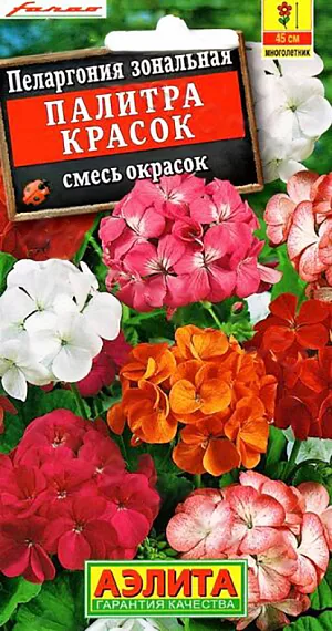 Семена Пеларгония Палитра Красок смесь окрасок. Пеларгония (в просторечии “герань”)- известное и любимое комнатное растение. Смесь ”Палитра красок” подходит не только для выращивания дома, но и для украшения сада. Кусты крепкие, прямостоячие, высотой 35-45 см, обильно украшены крупными ароматными соцветиями ø 12-15 см с весны до осени. Пеларгонии неприхотливые, светолюбивые (но мирятся с небольшим затенением), достаточно засухоустойчивые. Растут быстро. Широко используются для выращивания в горшках и балконных ящиках, прекрасно смотрятся на клумбах, в рабатках и бордюрах. <br>
Агротехника. Выращивают через рассаду. Сеянцы пикируют в фазе одного-двух настоящих листьев. При достижении рассадой 8-10 см верхушки побегов прищипывают, чтобы стимулировать ветвление. Высаживают рассаду в открытый грунт, когда минует угроза заморозков.