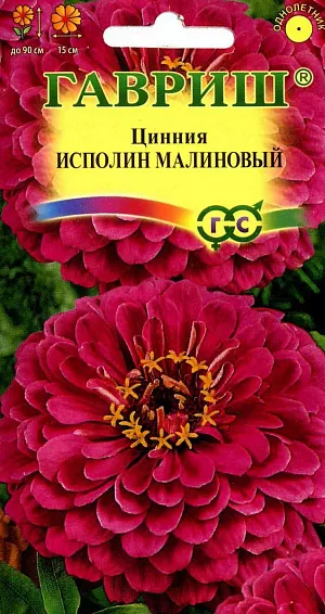 Семена Цинния Исполин Малиновый.
Серия высокорослых крупноцветковых цинний для элитного оформления сада. 
Отличается чрезвычайно обильным и продолжительным цветением, прочными ветвящимися цветоносами, чистыми и стойкими к выгоранию тонами соцветий.
Формирует приподнятые, разветвленные кусты высотой до 90 см. Соцветия георгиновидные, крупные, малиновые, 15 см в диаметре, с высокой устойчивостью к неблагоприятным погодным условиям. Цветет с июня до заморозков. Циннии светолюбивы, засухоустойчивы и теплолюбивы; отзывчивы на полив, без длительного полива снижается интенсивность цветения и уменьшается размер соцветий. Выращивают рассадным способом. 
Семена высевают в апреле. Всходы появляются через 4-6 дней. В начале июня растения высаживают на расстоянии 20 см.