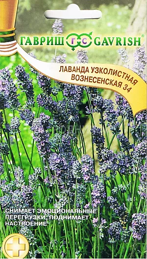Семена Лаванда Вознесенская 34.
Одно из самых душистых многолетних растений с ценными лекарственными, пряно-ароматическими и медоносными свойствами. 
Серо-зеленые веточки образуют плотный куст почти шаровидной формы до 70 см в диаметре, с многочисленными яркими фиолетово-сиреневыми соцветиями. Имеет сильные антисептические и антиспазматические свойства, способствует быстрому заживлению ран. 
Предпочитает солнечные, теплые, защищенные от ветра участки с сухой, хорошо дренированной почвой.
Семена стратифицируют в течение 30-40 дней при температуре +5° С, затем высевают и проращивают на свету при температуре 15 - 21° С. Когда всходы подрастут, их рассаживают на расстоянии 5 см. 
В мае рассаду высаживают на постоянное место.