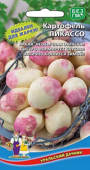 Семена Картофель Пикассо Семена Картофель Пикассо