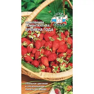 Семена Земляника (клубника) Времена года