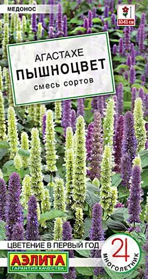 Семена Агастахе Пышноцвет  (лофант) – многолетнее, пряно-ароматическое растение-медонос, высотой 60-65 см. В ландшафтном дизайне это истинная находка для создания эффектных цветочных вертикалей. Контрастная смесь гармонично впишется в состав клумбы или выступит сольной культурой. Используется в цветниках природного стиля, в лекарственных садиках. Рассаду следует высаживать в солнечных частях участка. В холодных, более северных регионах рекомендуется укрытие на зиму. На одном месте смесь хорошо растет и цветет около 5 лет. С 3-4-го года возможно вегетативное размножение делением куста.<br>
 <br>
 Выращивают через рассаду с пикировкой сеянцев в фазе одного-двух настоящих листьев. Рассаду высаживают, когда минует угроза заморозков. Культура требует легких, плодородных почв нейтральной кислотности. Не выносит переувлажнения.<br>
 <br>
