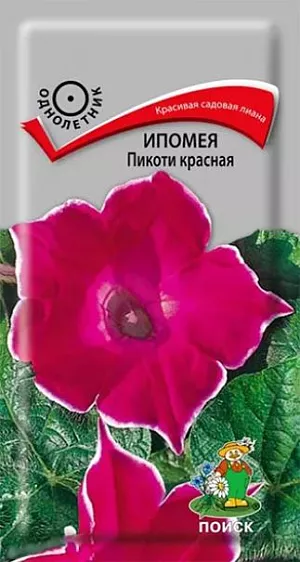 Семена Ипомея Пикоти красная. <span>Стебли достигают 2,5 м. длины. Листья крупные, сердцевидные. Цветы воронковидной формы яркие красно-малиновые с тонкой каемкой по краю венчика, диаметром около 10 см. Цветет обильно с июля по октябрь. Широко используются для вертикального оформления цветников различного назначения.<br>
 <br>
 </span> Агротехника. Растение свето- и теплолюбивое, засухоустойчивое. Предпочитает почвы рыхлые, питательные. Размножают посевом семян в мае на постоянное место по 2-3 семени в лунку или в торфяные горшочки в апреле. Семена необходимо замачивать в течение 24 часов. При температуре почвы +20°C всходы появляются через 6-14 дней. Рассаду высаживают с комом земли, выдерживая расстояние между растениями 15-20 см.