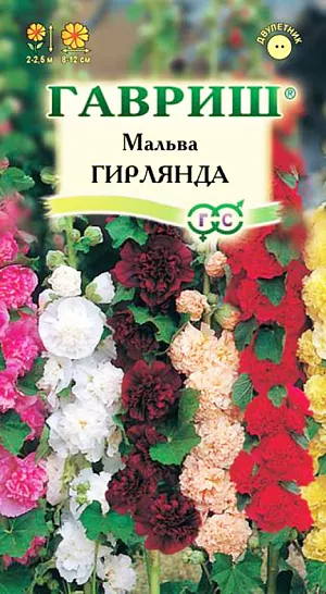 Семена Мальва Гирлянда из каталога Мальва Семена Мальва Гирлянда.
Многолетнее растение из семейства Мальвовых, культивируемое как двулетник, высотой до 2-2,5 м.
Цветет с конца июня по сентябрь. Цветки разнообразной окраски, 8-12 см в диаметре, собраны в крупное эффектное соцветие-кисть.
Светолюбива и засухоустойчива, к почвам нетребовательна, но предпочитает участки с хорошо обработанной плодородной почвой.
На зиму желательно укрывать. Выращивают прямым посевом в открытый грунт в мае.
Используется для посадки в группах, миксбордерах, для декорирования стен зданий и изгородей, а также для получения срезки.