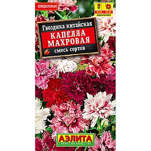Гвоздика Капелла махровая китайская, смесь сортов Гвоздика Капелла махровая китайская, смесь сортов