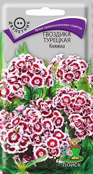 Семена Гвоздика Княжна турецкая.
Эффектные двуцветные соцветия. Цветки бело-красные. Кустик высотой 40-45 см. Листья линейно-ланцетные, зеленые. К концу 1-го года выращивания образуется розетка прикорневых листьев. На следующий год растения цветут с конца июня в течение месяца. Используют для сборных цветников, рабаток и для срезки.
Агротехника. Растение холодо- и засухоустойчивое, предпочитает солнечное место, но может расти и в полутени. Хорошо растёт на плодородных дренированных почвах. Посев семян производят в мае-июне в открытый грунт на разводочные гряды, слегка присыпав их влажным песком. При температуре почвы +18-20°C всходы появляются через 10-14 дней. На постоянное место рассаду высаживают в августе, выдерживая расстояние между растениями 25-30 см. 