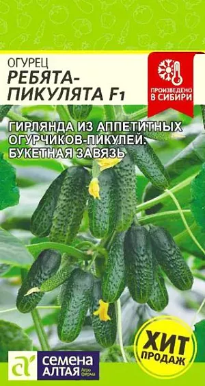 Семена Огурец Ребята-Пикулята F1 Семена Огурец Ребята-Пикулята F1