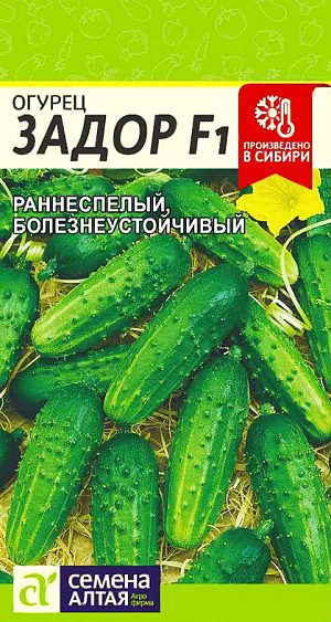 Семена Огурец Задор F1