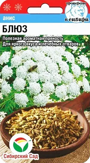 Анис Блюз