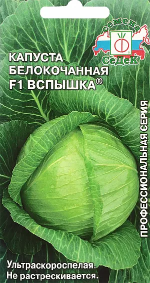 Семена Капуста белокочанная Вспышка F1 Семена Капуста белокочанная Вспышка F1