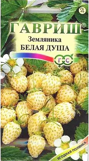 Семена Земляника (клубника) Белая душа ремонтантная Семена Земляника (клубника) Белая душа ремонтантная