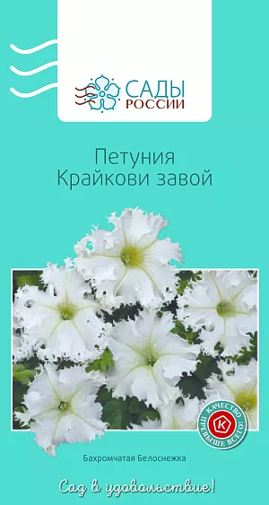 Петуния Крайкови завой 10шт из каталога Петуния Петуния Крайкови завой
Очень нарядная крупноцветковая бахромчатая петуния. Цветки крупные, диаметром около 8 см, белые с волнистыми и бахромчатыми краями. Теплолюбива. Рассаду высаживают в грунт после того, как минует угроза возвратных заморозков.