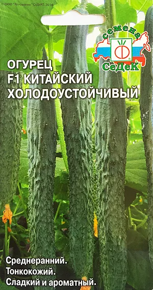 Семена Огурец Китайский Холодоустойчивый F1