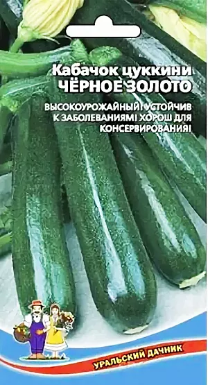 Семена Кабачок Черное золото Семена Кабачок Черное золото