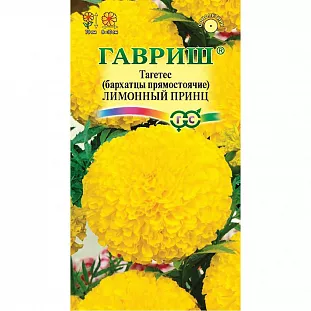 Бархатцы Лимонный принц прямостоячие