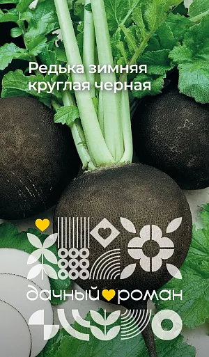 Семена Редька зимняя круглая черная Семена Редька зимняя круглая черная
