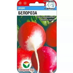 Семена Редис Белороза смесь