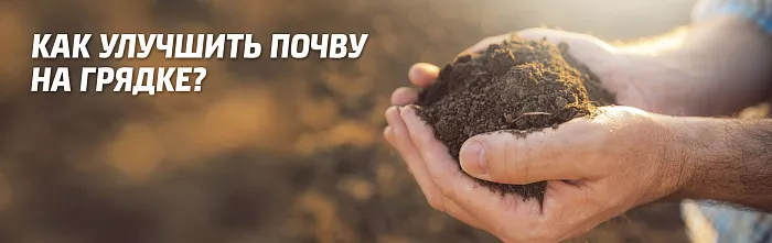 Как улучшить почву на грядке огорода и садовом участке
