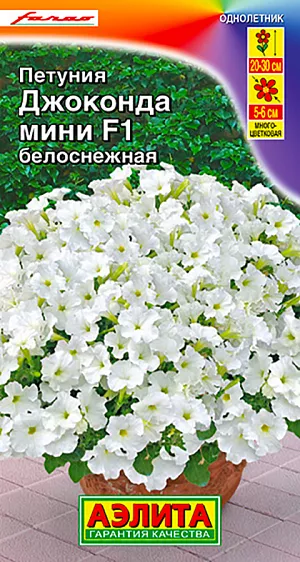 Семена Петуния Джоконда мини белоснежная F1.<br>
Гибрид формирует растения с аккуратным компактным кустом высотой 25-30 см. Куст сохраняет привлекательность на протяжении всего сезона, никогда не оголяется по центру, поскольку обладает генетической способностью хорошо ветвиться от самого основания. Богатейшее цветение достигается благодаря гену мужской стерильности: растения не образуют семян, но стремятся к этому, продуцируя все больше и больше цветов Ш 5-6 см. Даже попав под небольшой заморозок, быстро восстанавливается и неутомимо цветет. Цветки не травмируются сильным ветром, устойчивы к дождям. Гибрид украсит солнечные и слегка затененные цветники, садовые контейнеры, балконные ящики. Агротехника. Посев на рассаду с февраля до апреля. Семена в гранулах! Посев поверхностный, без заделки (семена прорастают на свету!), под стекло или пленку для сохранения постоянной влажности до полных всходов. Гранулы при посеве должны раствориться! Февральским посевам требуется дополнительная подсветка. Всходы появляются на 5-6 день. Пикировка в фазе 1-2-х настоящих листьев. Высадка в грунт закаленной рассады в конце мая. Поддерживая оптимальные условия выращивания (11-ти часовой световой день и температуру 20-22°С), можно сохранить растения цветущими круглый год. Для продолжительного и обильного цветения растениям необходим своевременный полив, регулярная прополка, рыхление и подкормка минеральными удобрениями.