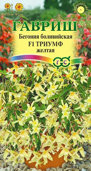 Семена Бегония Триумф желтая боливийская F1.
Бегония боливийская серии «F1 Копакабана» - выносливое и неприхотливое стелющееся однолетнее растение, усыпанное множеством белых цветков колоколообразной формы диаметром 6-7 см. 
Побеги сначала растут вверх, а по достижении высоты 30-35 см. элегантно ниспадают вниз в виде многоярусного цветочного каскада. 
Очень хорошо переносит яркое солнце, дождь, засуху, затенение. 
Идеальна для больших подвесных корзин, вазонов и ящиков на возвышенных местах, а также посадки в цветники и клумбы. 
Семена высевают в конце февраля-начале марта, не заделывая, в неглубокие ящики с просеянной смесью листовой земли, торфа и песка (2:1:1). 
Посевы содержат под стеклом и до первой пикировки равномерно увлажняют теплой водой с поддона. 
Пикируют в стадии 2-3 настоящих листочков. Для цветения растений в мае требуется посев в январе.
Вегетационный период длится 14-17 недель. Цветет с мая по октябрь. 
После цветения надземная часть отмирает и через 2 недели клубни вынимают из земли, подсушивают и укладывают в ящик с песком и сухим торфом. Хранят в сухом и темном помещении при температуре 8-14 С. 
Землесмесь периодически увлажняют. Период покоя длится 2-3 месяца.
 
