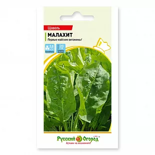 Щавель Малахит Щавель Малахит
