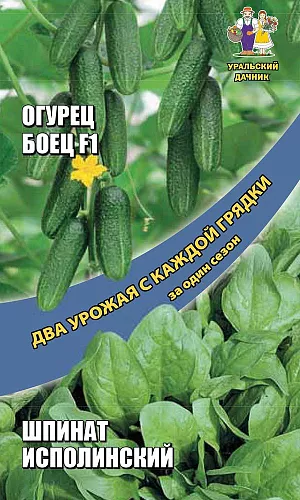 Огурец Боец - корнишон + Шпинат Исполинский Огурец Боец - корнишон + Шпинат Исполинский