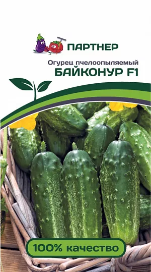 Семена Огурец Байконур F1