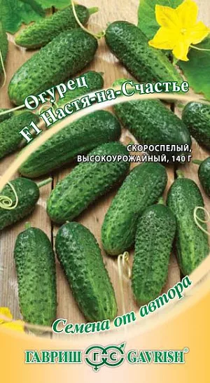 Семена Огурец Настя-на-счастье F1