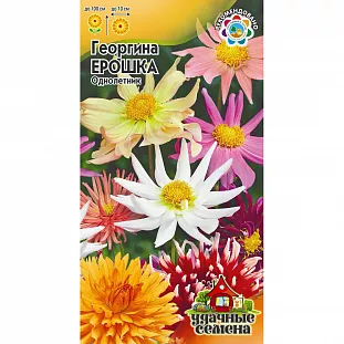 Георгина Ерошка