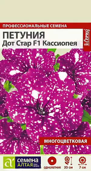 Семена цвето Петуния многоцветковая Дот Стар Кассиопея.<br>
 <br>
 Неведомые тайны космоса на вашем участке – уникальные гибриды новейшей серии низкорослой многоцветковой петунии «Дот Стар F1». Растения формируют кустики высотой 30-35 см, отлично ветвятся, характеризуются ярким обильным цветением. Сочетание насыщенных окрасок и белых крапинок придает цветкам необыкновенно привлекательный вид. Серия отличается высокой устойчивостью к неблагоприятным погодным условиям: после сильного дождя растения быстро восстанавливают свой внешний вид. Светолюбивое и достаточно засухоустойчивое растение. Предпочитает легкие плодородные, хорошо дренированные почвы. Посевы на рассаду проводят с середины февраля. <br>
 <br>
 Семена равномерно распределяют по поверхности субстрата, не заделывая, а лишь слегка вдавливая в грунт. Для получения наилучшего результата посев рекомендуем проводить в торфяные таблетки (одно драже в таблетку). Посевы увлажняют из распылителя и накрывают стеклом для поддержания постоянной влажности. Емкость помещают в светлое теплое место (+22-24°С). Всходы появляются через 10-15 дней, стекло убирают. Февральским посевам требуется дополнительная подсветка. Пока всходы мелкие, их лучше не поливать, а опрыскивать, избегайте попадания на них прямых солнечных лучей. Пикировку проводят в фазе 1-2-х настоящих листочков. В открытый грунт рассаду высаживают в конце мая - начале июня, когда минует угроза возвратных заморозков. Посадочный интервал – 30-40 см. Обильное и продолжительное цветение с июня до осенних заморозков. Возможно сохранение растений зимой в освещенном помещении при температуре около +12°С с предварительной обрезкой побегов. <br>
 <br>
 <b>Внимание! Семена дражированные - оболочку драже не разрушать!</b>