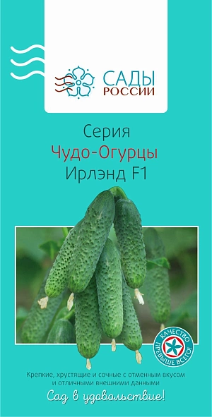 Семена Огурец Ирлэнд F1 чудо