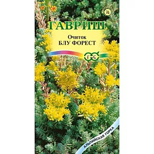 Очиток Блу Форест Очиток Блу Форест