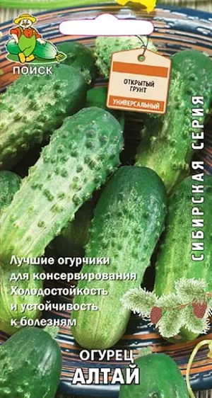 Семена Огурец Алтай Семена Огурец Алтай