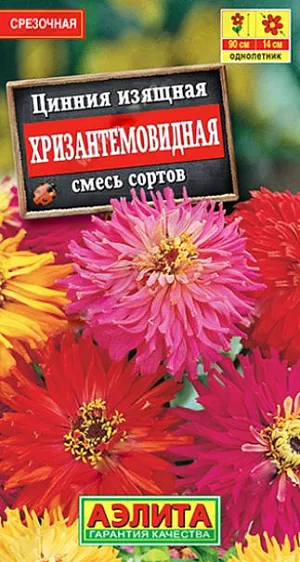 Семена Цинния Хризантемовидная из каталога Цинния Семена Цинния Хризантемовидная. Высокорослая, быстрорастущая смесь циннии с крупными (диаметром 13-14 см.) махровыми соцветиями-корзинками различных окрасок. Растения крепкие, до 90 см. в высоту, мощные, хорошо облиственные, с прочными цветоносами. Цветение раннее и продолжительное. Смесь рекомендуется для оформления цветников и на срезку в букеты. Срезанные цветы долго не теряют свежесть в воде.<br>
<br>
Циннии – растения теплолюбивые, быстрорастущие, относительно засухоустойчивые. Предпочитают солнечные участки с дренированными почвами среднего плодородия, нейтральной кислотности. В южных регионах возможен безрассадный способ выращивания.<br>