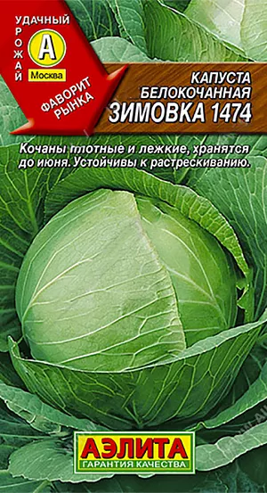 Семена Капуста б/к Зимовка 1474 Семена Капуста б/к Зимовка 1474