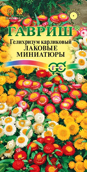 Семена Гелихризум Лаковые Миниатюры карликовый.
Травянистое однолетнее растение семейства Астровые. Кусты слегка раскидистые, достигают 30-40 см высоты. 
Цветки собраны в соцветия — корзинки, имеющие очень яркие и многочисленные листочки обертки белой, розовой, желтой, оранжевой или красной окраски разнообразных оттенков.
Цветет обильно с июля до заморозков. Предпочитает открытые солнечные места.
Размножают семенами, которые высевают в конце марта — начале апреля на рассаду. 
Всходы появляются через неделю после посева. На постоянное место рассаду высаживают после весенних заморозков, выдерживая расстояние между растениями 15-20 см.
Используется в озеленении (клумбах, рабатках), а также на срезку в качестве лучшего сухоцвета.