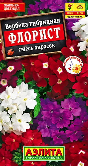 <div>
 Семена Вербена Флорист смесь.
</div>
 Популярный обильноцветущий летник с приятным ароматом. Соцветия крупные,8-10 см. состоят из 30-50 цветков диаметром 1,5-2 см. Кустики компактные, сильноветвистые, высотой 30-40 см. Отлично растут в ограниченном объеме грунта и идеально подходят для выращивания в горшках и балконных ящиках. Прекрасно смотрятся на клумбах и в рабатках.<br>
 Вербена предпочитает солнечные участки с хорошо дренированными почвами среднего плодородия, с нейтральной кислотностью. Растения холодостойкие, засухоустойчивые; в любой стадии развития плохо реагируют на избыточную влажность грунта.<br>