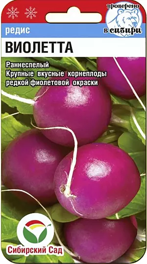 Семена Редис Виолетта Семена Редис Виолетта