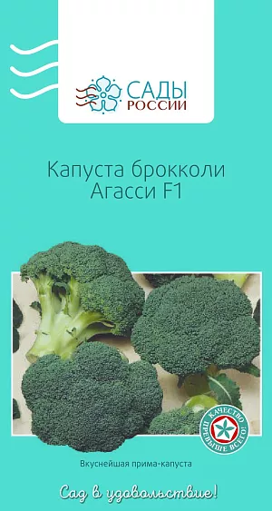 Семена Капуста брокколи Агасси F1 Семена Капуста брокколи Агасси F1