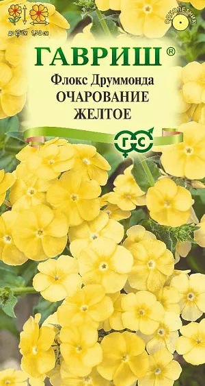 Эффектная крупноцветковая смесь однолетних низкорослых сортов флокса с обильным цветением и ошеломляюще красивой окраской. Растения компактные, высотой до 25 см. Цветки 1,5-2 см в диаметре, светло-желтые, собраны в щитковидные соцветия. Предпочитает солнечные места и легкие дренированные плодородные почвы с большим количеством органики. Посев на рассаду — в марте–апреле. Для получения дружных всходов необходима стратификация и свет. Семена распределяют по поверхности и слегка придавливают к почве, не заделывают. Посевы выдерживают в течении 21 дня при температуре 10-15°С. Цветет с июня до заморозков. Используют в качестве клумбового и бордюрного растения, выращивают в контейнерах и горшках, на каменистых горках. Подходит для ярких мини-букетов.