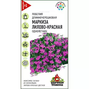 Семена Лобелия ампельная Маркиза лилово-красная Семена Лобелия ампельная Маркиза лилово-красная