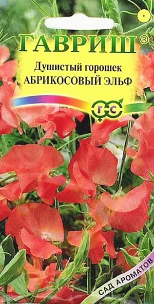 Душистый горошек Абрикосовый Эльф из каталога Душистый горошек Семена Душистый горошек Абрикосовый Эльф.
Однолетнее растение семейства Бобовые с лазающими стеблями высотой 200 см.
Цветет с июля по сентябрь. Цветки крупные, абрикосовой окраски, собраны в изящные кисти, обладают приятным тонким ароматом. Светолюбив, влаголюбив и холодостоек, предпочитает плодородные суглинистые и супесчаные почвы. Выращивают рассадным и безрассадным способом. В открытый грунт посев проводят в первой декаде мая.
На рассаду семена высевают в конце марта-начале апреля в горшочки. Рассаду высаживают в середине мая на расстоянии 30 см. Используется для вертикального озеленения. Срезанные цветки хорошо сохраняют свежесть в воде, используются в букетах.
