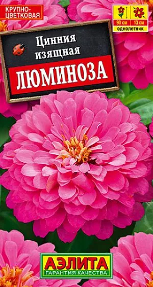 Семена Цинния Люминоза.
Высокорослый сорт циннии с очень крупными, махровыми соцветиями (O10-13 см). Кусты высотой до 90 см, мощные, хорошо облиственные, с крепкими цветоносами. Цветение раннее и продолжительное, с июня до первых заморозков. Растения неприхотливые, теплолюбивые, предпочитают солнечные места, хорошо переносят воздействие непогоды. Используются на клумбах, в рабатках и цветниках, великолепно смотрятся в групповой посадке. Отличный материал для срезки. Агротехника. Выращивают рассадным способом. С развитием первой пары настоящих листочков сеянцы пикируют. В фазе пяти-шести листьев проводят формирующую прищипку. Рассаду высаживают в открытый грунт, когда минует опасность заморозков. Растениям необходимы регулярные поливы, прополки, рыхления и подкормки. Возможен посев семян в открытый грунт на глубину 1 см. 