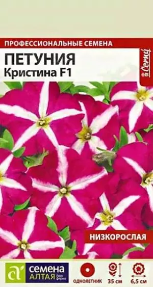 Семена Петуния Кристина низкорослая многоцветковая из каталога Петуния Семена Петуния "Кристина" низкорослая многоцветковая.<br>
Прекрасный однолетник! Серия гибридной многоцветковой петунии необычных окрасок. Растение компактное сильноветвящееся, высотой 30-35 см, разрастается красивым шаром, веточки не ломаются. Цветки воронковидные пурпурно-красной окраски с белой звездой в центре, диаметром 5,5-6,5 см. Используют для оформления клумб, рабаток, бордюров. Применяется для составления цветочных композиций, великолепна в кассетах, горшках, подвесных корзинах и кашпо. Светолюбивое и достаточно засухоустойчивое растение. Предпочитает легкие плодородные, хорошо дренированные почвы. <br>
Посевы на рассаду проводят с середины февраля. Семена равномерно распределяют по поверхности субстрата, не заделывая, а лишь слегка вдавливая в грунт. Для получения наилучшего результата посев рекомендуем проводить в торфяные таблетки (одно драже в таблетку). Посевы увлажняют из распылителя и накрывают стеклом для поддержания постоянной влажности. Емкость помещают в светлое теплое место (+22-24°С). Всходы появляются через 10-15 дней, стекло убирают. Февральским посевам требуется дополнительная подсветка. Пока всходы мелкие, их лучше не поливать, а опрыскивать, избегайте попадания на них прямых солнечных лучей. Пикировку проводят в фазе 1-2-х настоящих листочков. В открытый грунт рассаду высаживают в конце мая - начале июня, когда минует угроза возвратных заморозков. Посадочный интервал – 30-40 см. Обильное и продолжительное цветение с июня до осенних заморозков. Возможно сохранение растений зимой в освещенном помещении при температуре около +12°С с предварительной обрезкой побегов. Внимание! Семена дражированные - оболочку драже не разрушать!